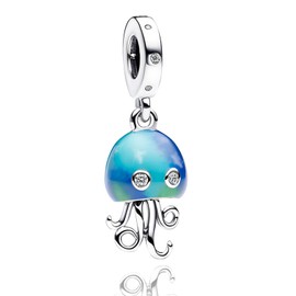 Rimgoris 925 Sterling Silver Charm for Women Bracelets Necklace Rose Gold Star & Moon & Sun Key Star Planet Clips Star & Moon Starfish Embed Dangle Charm Gift, Silver, Cubic Zirconia