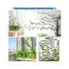 zalati Plant Climbing Supports 50 Pieces Plant Clips Wall Mount