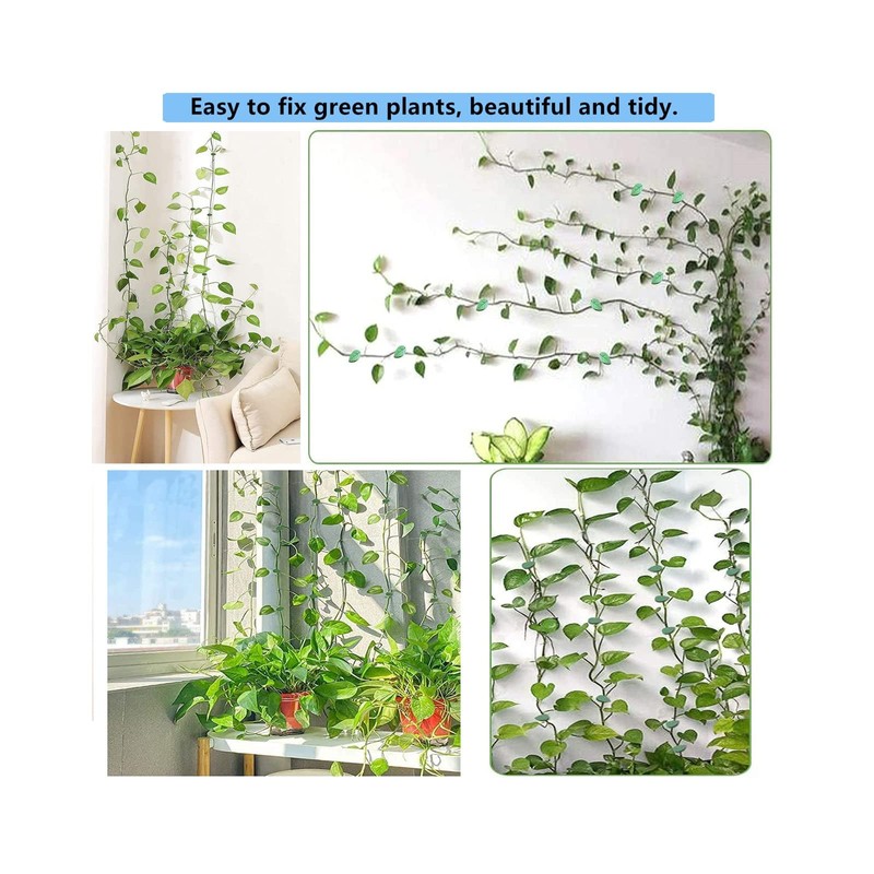 zalati Plant Climbing Supports 50 Pieces Plant Clips Wall Mount