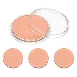 PATIKIL 40mm Blank Coins for Engraving, 4pcs Coin Blanks Laser Engraving Blanks Custom Challenge Coins Metal Disc Tags Circle Round Stamping Plate, Glitter Frosted, Copper Tone