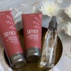 Surface Hair Pure Blonde Rose Shampoo, 9 fl. oz.