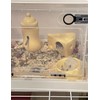 Hamster House, Pottery, Hamster Bed, Hideaway, Cool, Summer, Cooling, Cooling