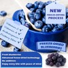 Blueberry Powder - 100% Freeze Dried Blueberries Fruit Powder, No