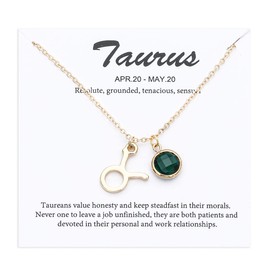 TGOLM 14k Gold Plated Zodiac Birthstone Crystal Pendant Necklace, Horoscope Sign Charm Necklace for Women Birthday Gift, Zinc, Zircon