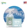 IGreen Pro Multi-surface All Purpose Cleaner | Refill Tablet 12