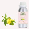 RADANYA Ayurveda RADANYA Ayurveda Evening Primrose Carrier Oil 100% Pure