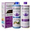 Revitalliss Tratamiento Alaciante Brasileño Cera Fría Kit 500ml