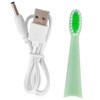 Electric Dental Cleaner Calculus Plaque Tartar Tooth Stains Removal Oral