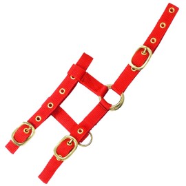 'Mini' Adjustable Headcollar