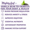 Mighty Leaf Vanilla Bean Tea, 100 Tea Pouches