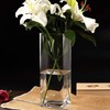 WGV Rectangle Block Vase, Length 6", Width 4", Height 14",
