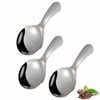 3 Pcs Stainless Steel Mini Spoons - Short Handle for