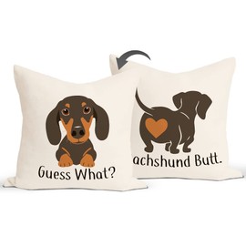 JIMOWANG Dachshund Dog Throw Pillow Case Modern Cushion Cover Square Pillow Cover Decoration for Sofa Bed Chair Car 18 x 18 Inch