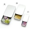 starPG Handicraft Parts Sliding Tin Case Trinket Case (3 Sizes