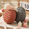 BAIMEI IcyMe Bath Sponge 2-Pack -Shower Loofah Body Scrubber with