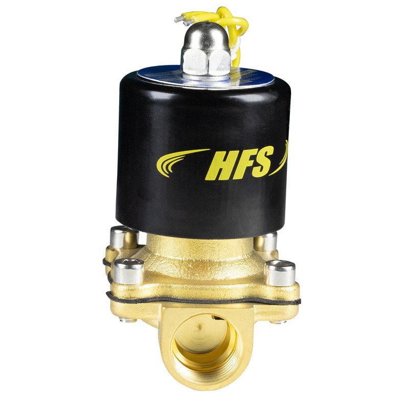 HFS(R) Solenoid Valve Electric Solenoid Valve 110V AC G1/2" for
