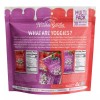 Nature's Garden Probiotic Yoggies, Mixed Berry & Strawberry, 0.7 Ounce