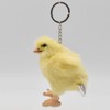 Key Chain Chick No. 6467 
