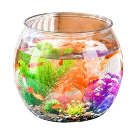 ateena Fishbowl, Goldfish, Aquarium, Aquarium, Container, Rearing Acrylic, Plastic, Aquarium, Large Aquarium, Transparent C (S) (L)