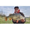 Major Fish Fish Measuring Tape Perch Ruler 65 cm x
