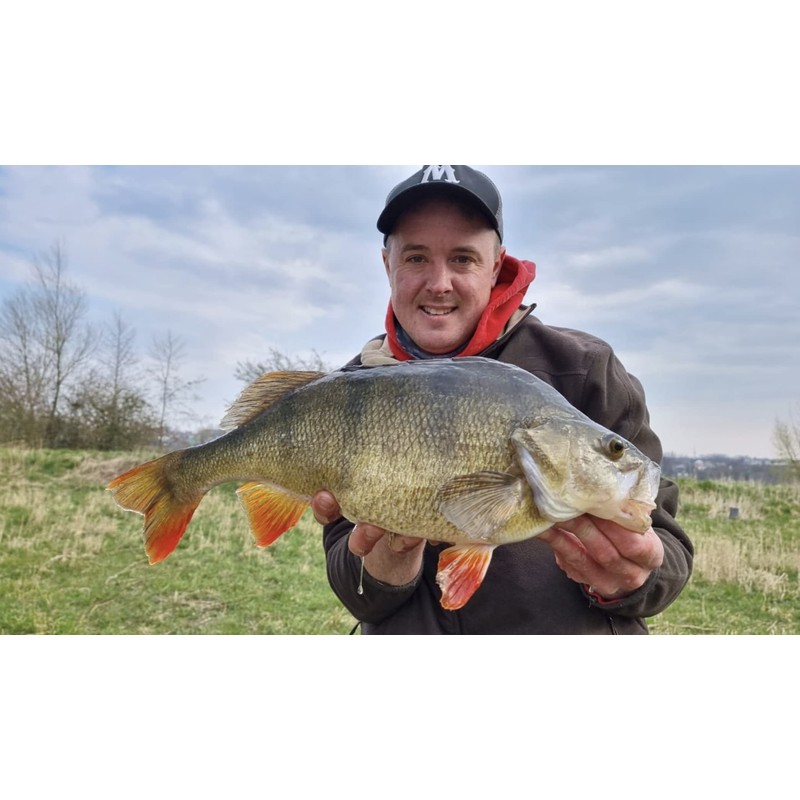Major Fish Fish Measuring Tape Perch Ruler 65 cm x