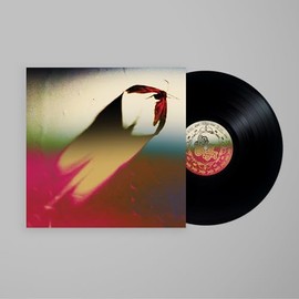 Are We All Angels [Vinyl LP]