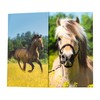 HERMA 19734 Pencil Holder with Horse Motif, Foldable, Sturdy Cardboard,