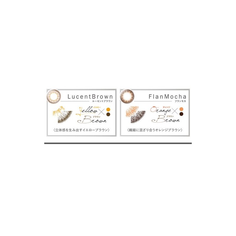 エルージュ クラリティブラウン -7.00 6枚入り