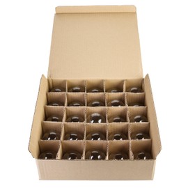 Hometown Evolution, Inc. Box of 25 G40 Clear 1.6 Inch 5 Watt C7 (E12) 3/8" Base Replacement Bulbs