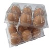 Clear Plastic Tri-Fold Split 6-Egg Carton - 35 Pack