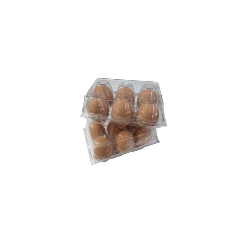 Clear Plastic Tri-Fold Split 6-Egg Carton - 35 Pack