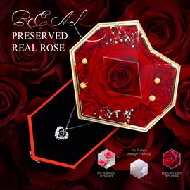 GOICC Preserved Rose Gift for Her Mom Girlfriend Wife Real Rose Flower with I Love You Necklace in 100 Languages Valentines Day Anniversary Birthday Box