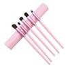 Lucky Interests Eyeshadow Brushes Set, 5Pcs Eyebrow Concealer Detail Eyeliner/Lip