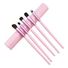 Lucky Interests Eyeshadow Brushes Set, 5Pcs Eyebrow Concealer Detail Eyeliner/Lip Eye Shadows Brush, Travel Eye Make up Brushes kit, Professional Cosmetics Brush Kit with Box
