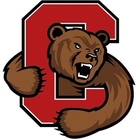 Vinyl Sticker Cornell Big Red Premium Quality Decals Indoor/Outdoor Use for Car Bumper Vehicle Laptop Window & Any Surfaces