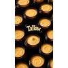 Crema Natural De Sebo De Res Alimentado Con Pasto Tallow