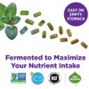 New Chapter Multivitamin for Men - Every Man's One Daily