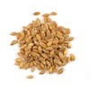 Organic Einkorn Whole Grain Farro Berries, USA Grown. Gluten Problems?