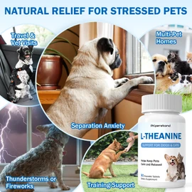L-Theanine Supplement for Dogs and Cats, 90 Chewable Tablets, Helps Keep Pets Calm & Relaxed