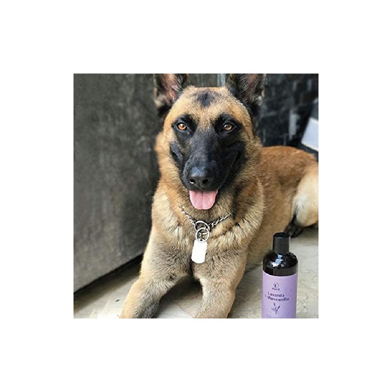 Alnut Shampoo para Perros y Cachorros - Sin Sulfatos ni