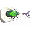 SUPER SPECIAL INSECT GIFT NECKLACE PENDANT - Green Rose Chafer