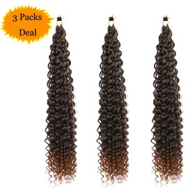 3X Passion Twist Crochet Braids Hair Pre-Separated Synthetic Curly Braiding Hair 24 Inch 3 Packs Pre-twisted Passion Twist Braiding Hair Pre Looped Crochet Braids for Black Women(24INCH,1B30#)