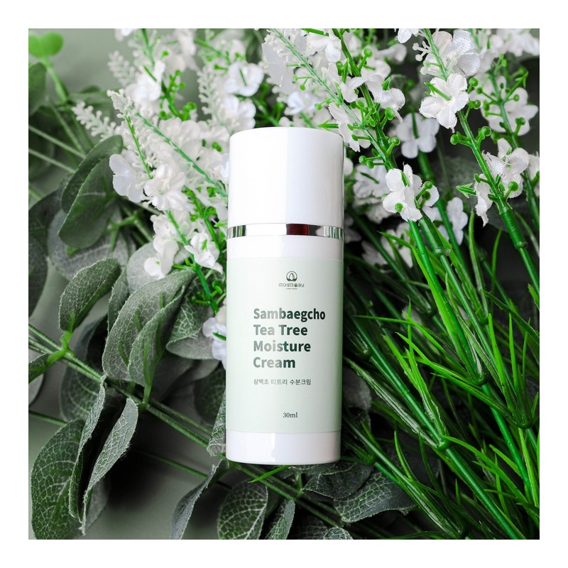 [Gift Recommendation] Skin soothing Tricentennial Tea Tree Basic Gift Set