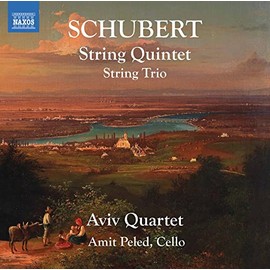 String Quintet 956
