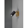 Trio Leuchten Marley 802400180 Spotlight Metal Black Matt / Brass