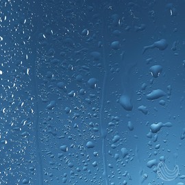 Soothing Shower Spray – 4oz Aromatherapy Shower Steamer Mist for a Spa-Like Experience – Relieves Stress & Elevates Your Shower – All-Natural Essential Oils (Eucalyptus Lemon)