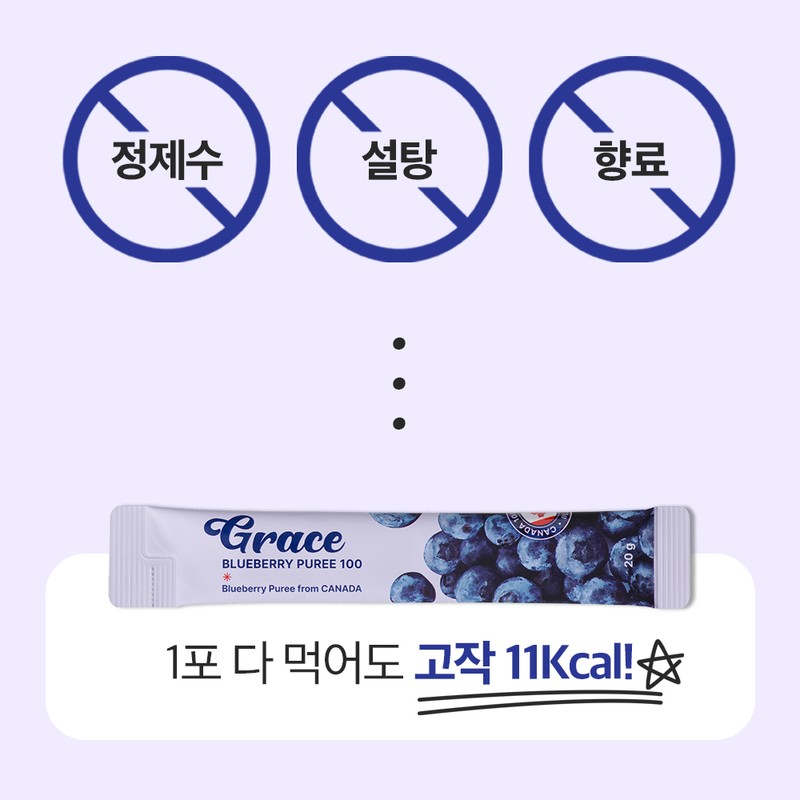 그레이스 블루베리 퓨레 100% 안토시아닌 스틱 홈쇼핑 14P, 280g, 1개