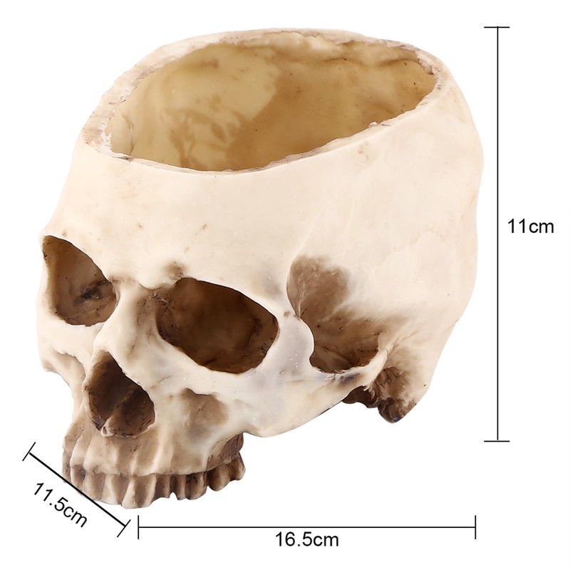 Skull Planter Key Bowl Fake 1 Piece Resin Skull Head