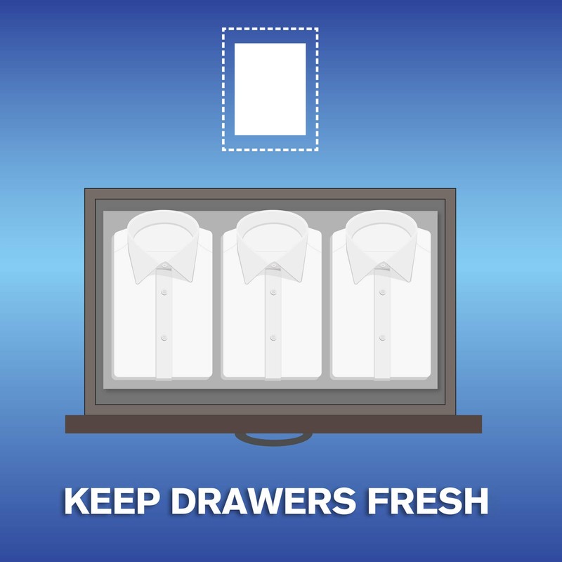 Arm & Hammer Fabric Softener Sheets, Free of Perfumes and