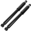 Aintier (Set of 2 Rear) for Civic Shocks Absorbers Struts